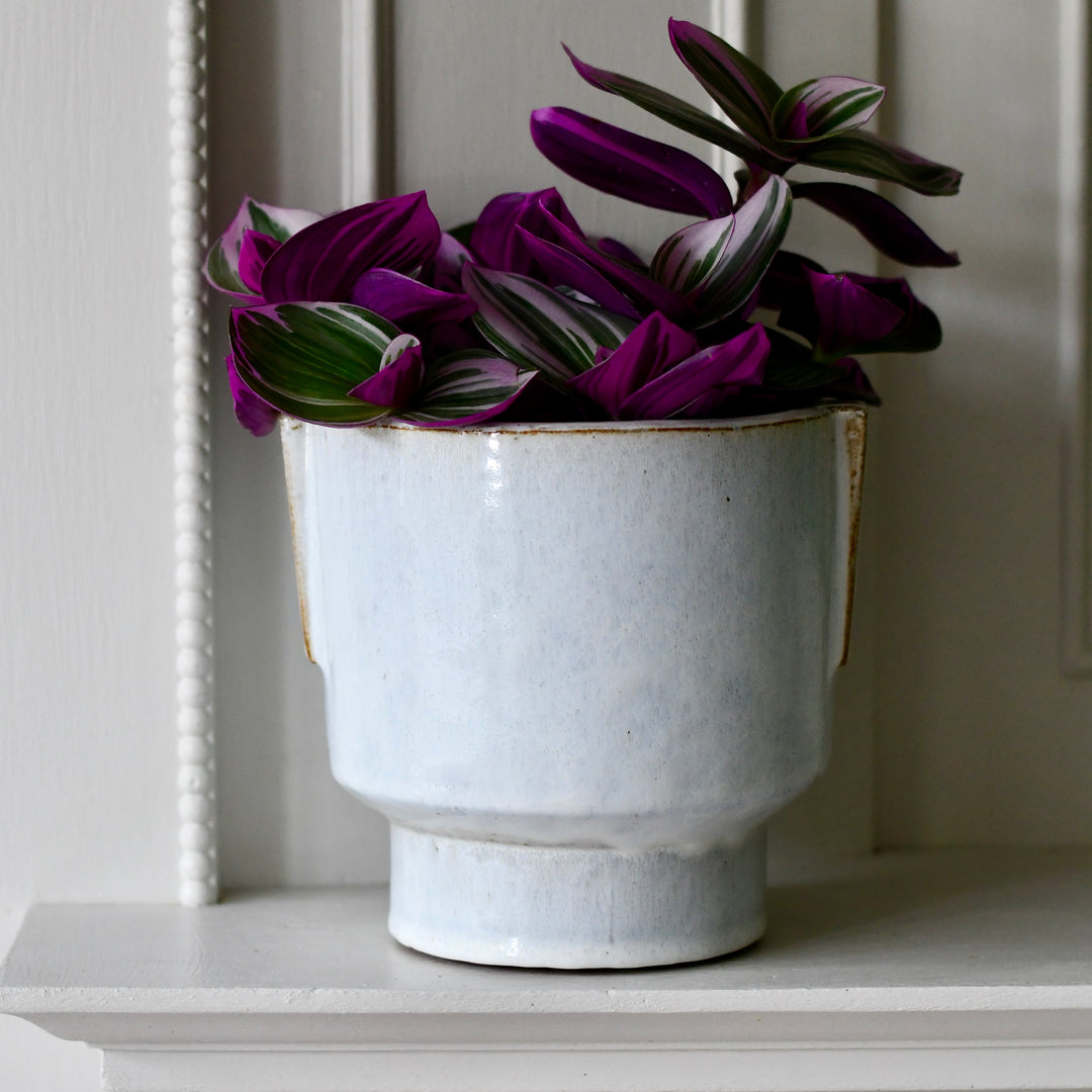 Aries premium Glaze Handle planter (14cm indoor plant pot) – Happy