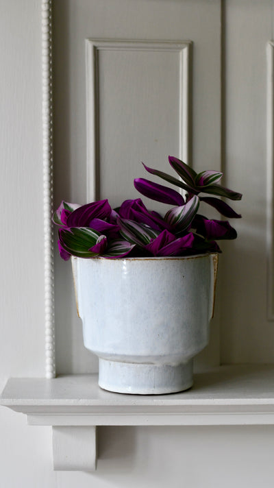 Aries premium Glaze Handle planter (14cm indoor plant pot)