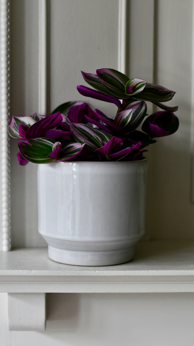 Pebble premium Glaze planter (14cm indoor plant pot)