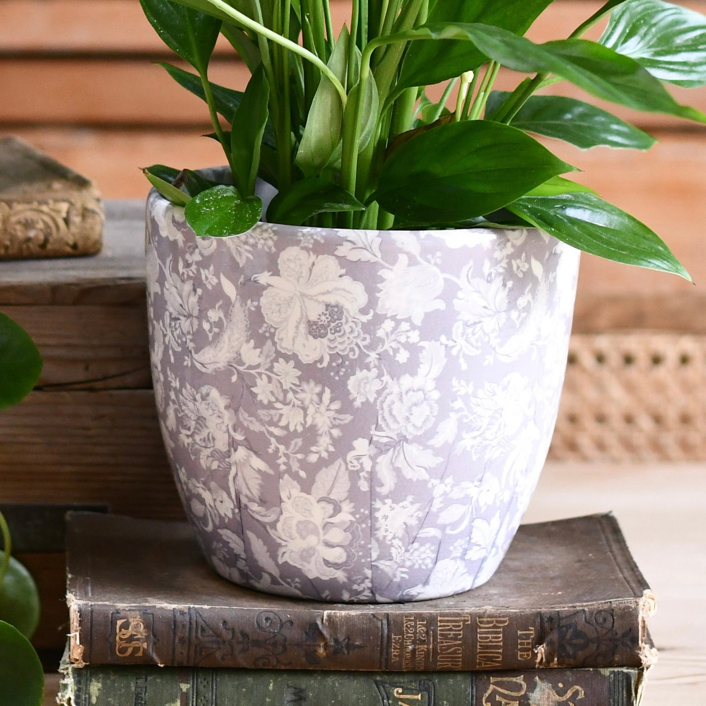 Bohemian Monza Planter, Vintage Grey