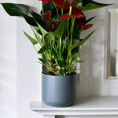 Lisbon Designer Planter Charcoal 13cm