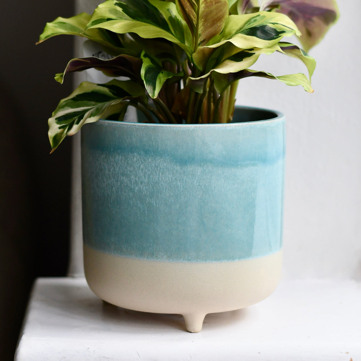 9cm ceramic plant pot 3 Leg Ceramic Reactive Glaze Indoor Plant Pot Mint Aqua (9cm pot) – Happy Houseplants