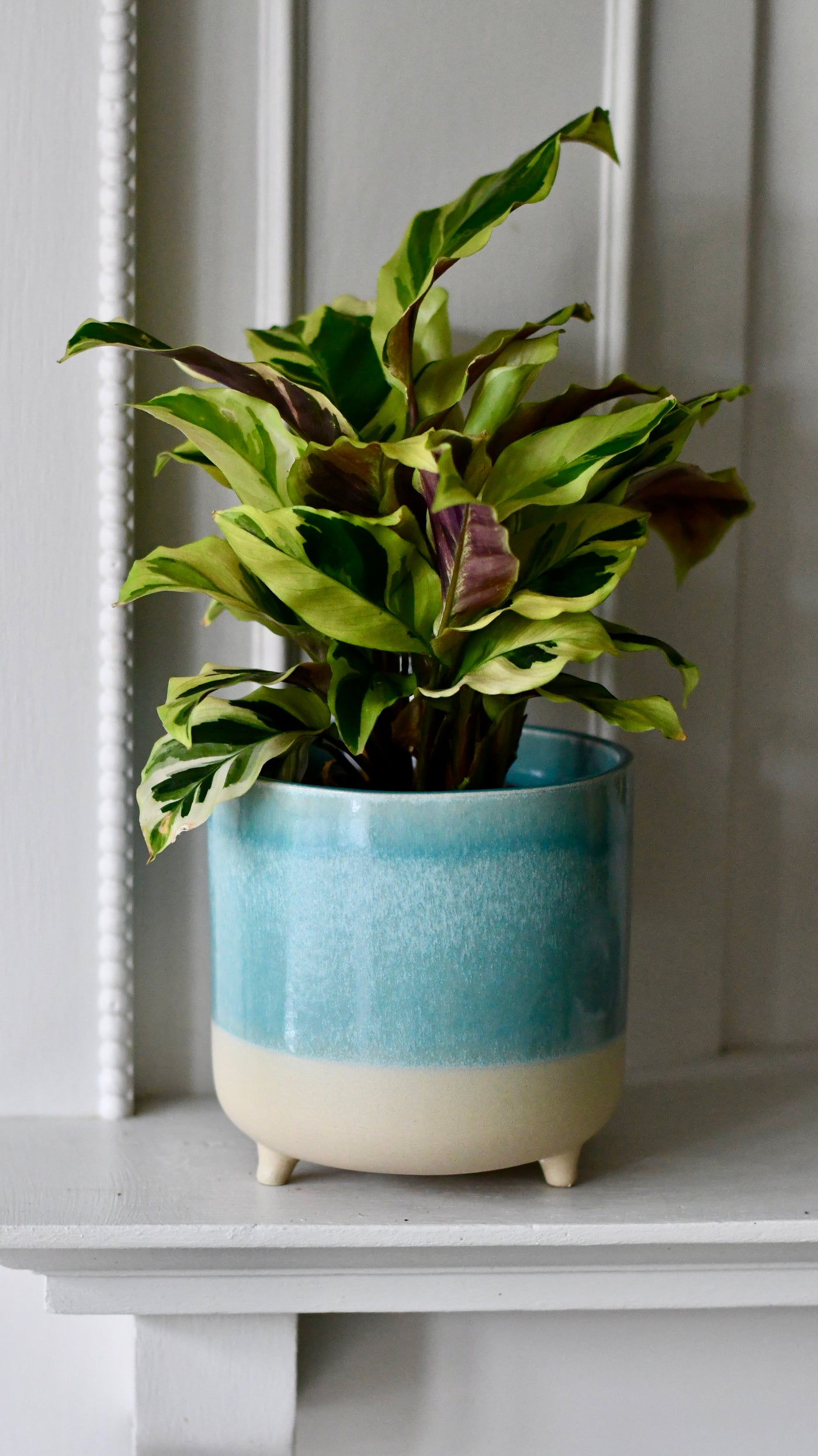 3 Leg Ceramic Reactive Glaze Indoor Plant Pot Mint Aqua (9cm pot)