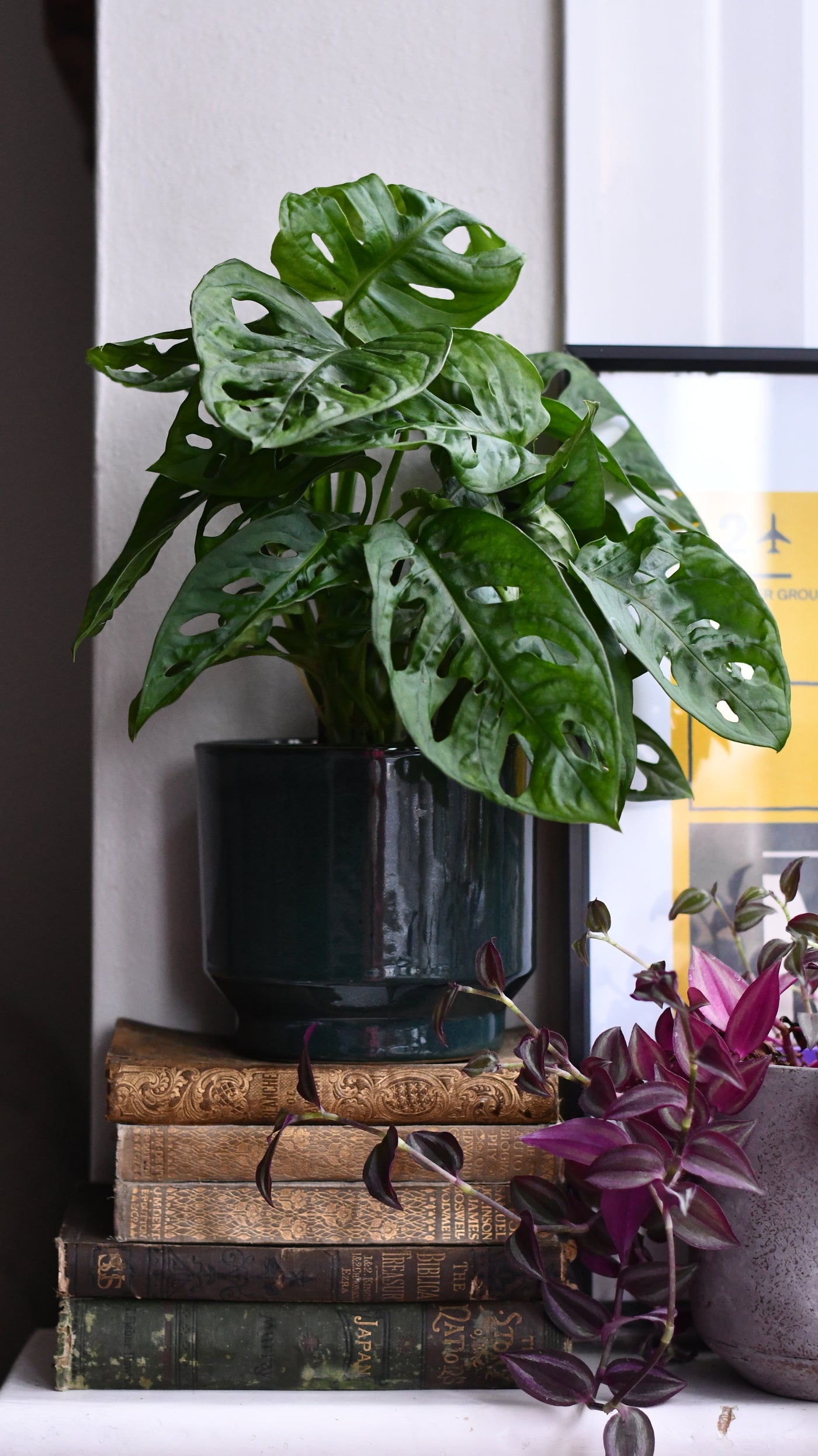 Forest Green premium Glaze planter (14cm indoor plant pot)