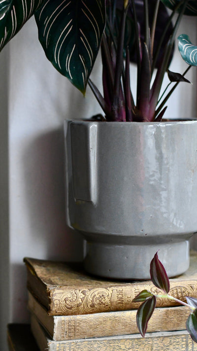 Aries Grey premium Glaze Handle planter (14cm indoor plant pot)