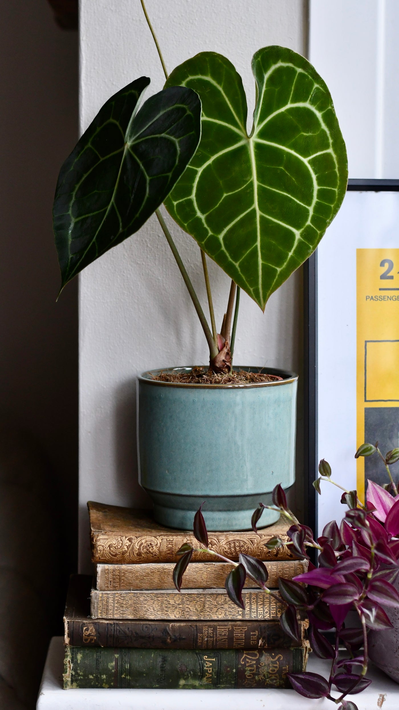 Aqua premium Glaze planter (14cm indoor plant pot)