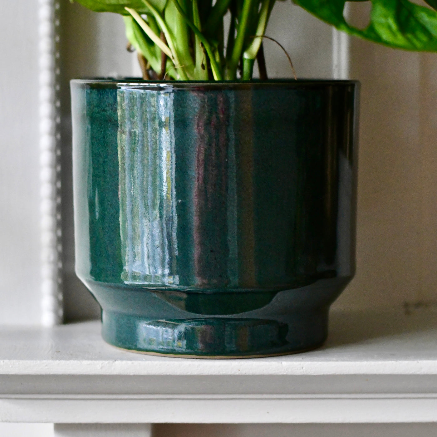 Forest Green premium Glaze planter (14cm indoor plant pot)