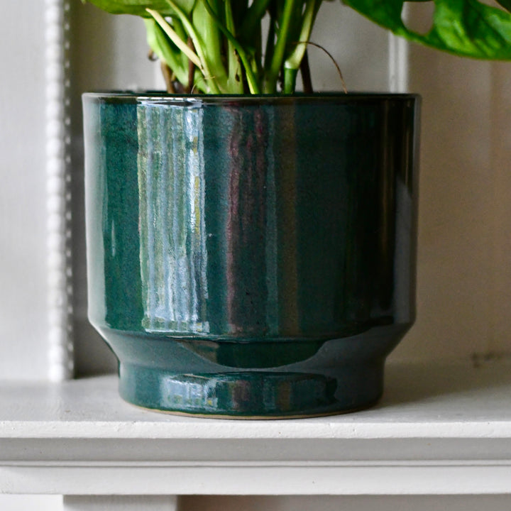 large indoor plant pots uk Forest Green premium Glaze planter (14cm indoor plant pot) – Happy  Houseplants