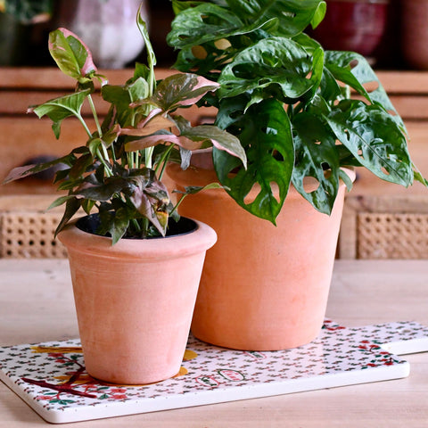 Terracotta Indoor Plant Pots 11cm
