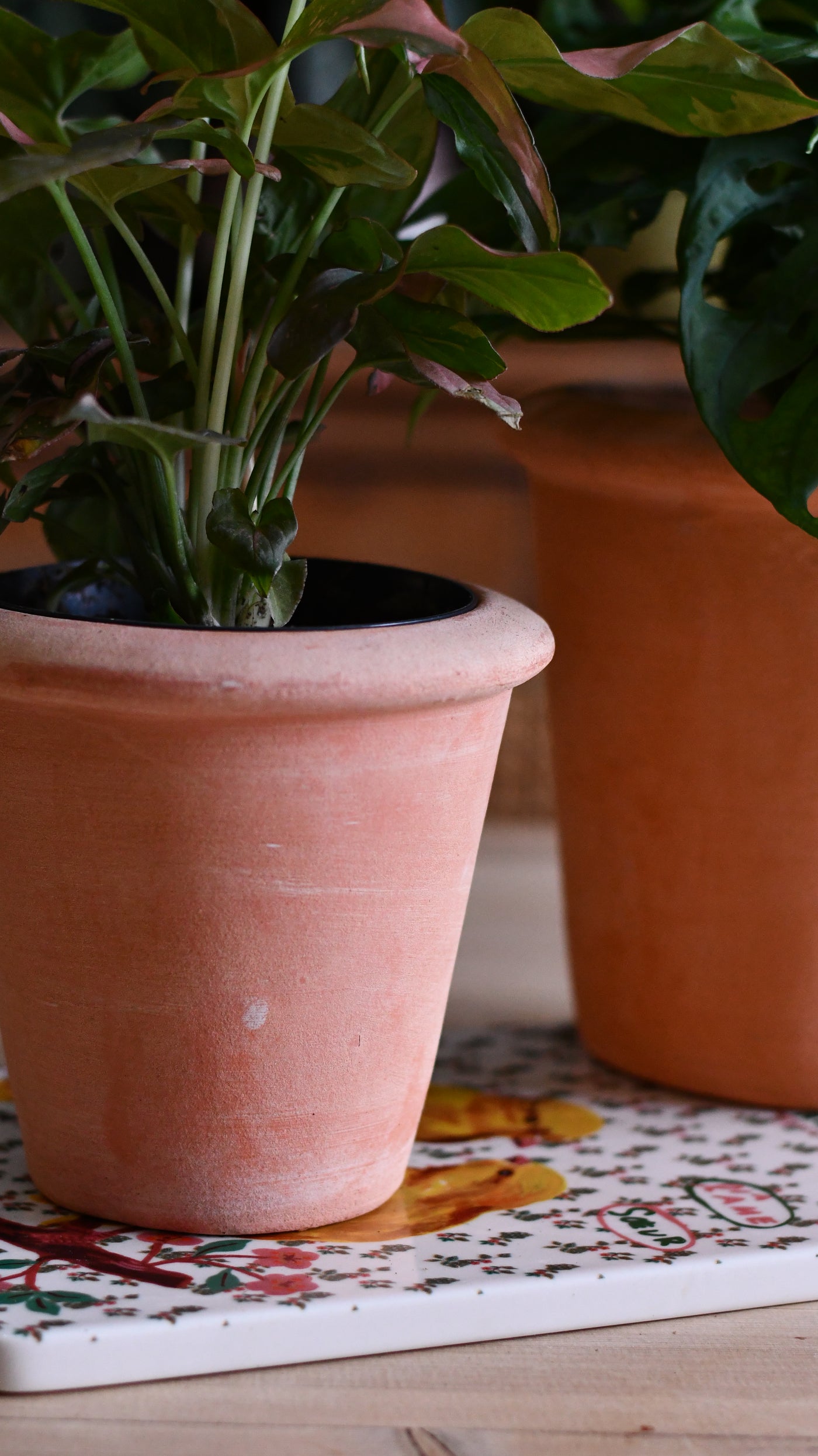 Terracotta Indoor Plant Pots 11cm