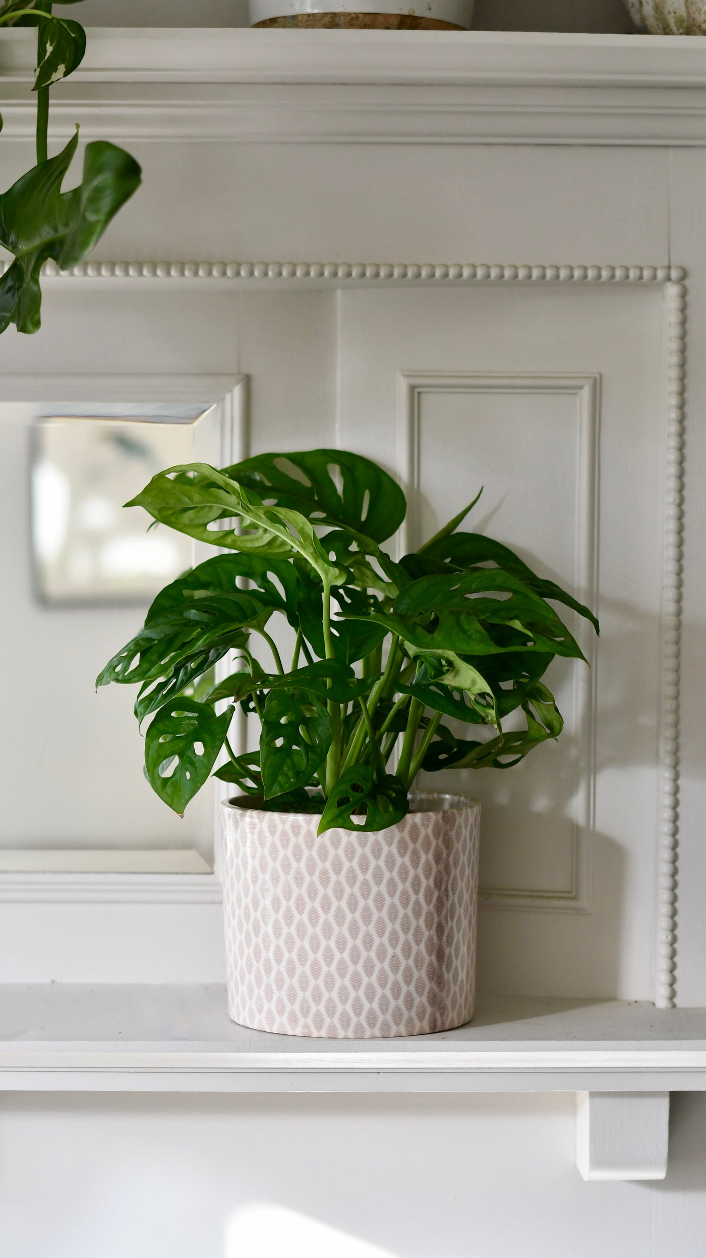 linen plant pot Bohemian Monza Planter | Indoor Plant Pots