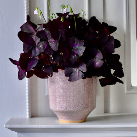 Reactive Glaze Rose Planter H13Cm D13Cm