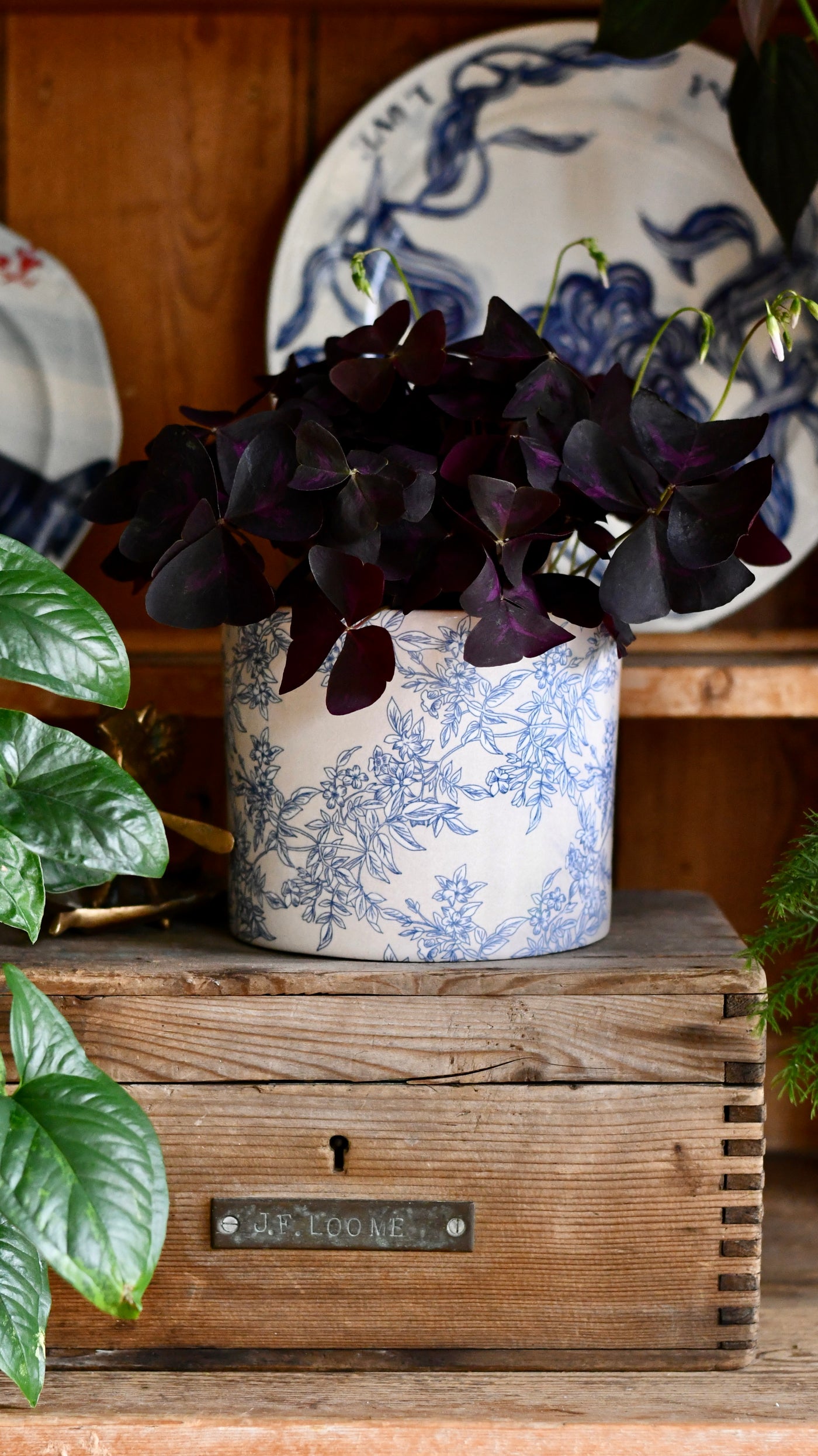 vintage indoor plant pots uk Vintage Foliage Indoor plant pot | Indoor Plant Pots