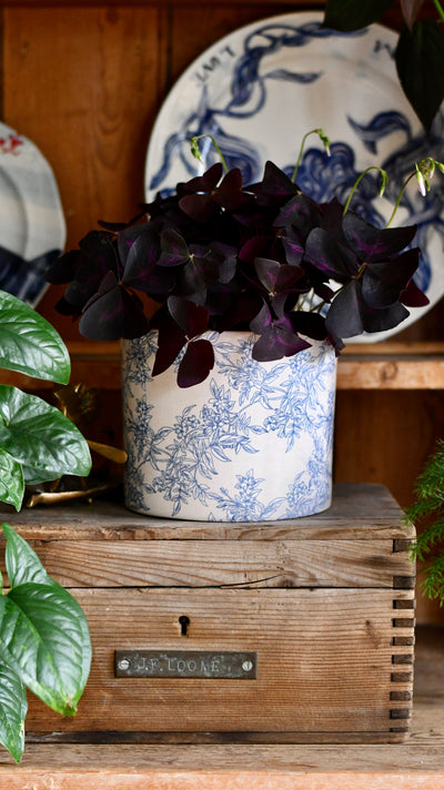 Vintage Foliage Indoor plant pot, Blue