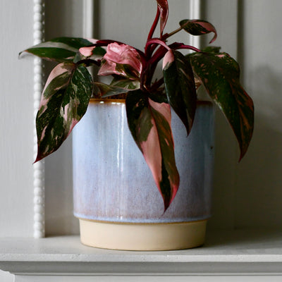 Two-Tone Blue Contemporary 14cm Indoor Plant Pot | Stylish Indoor Planters for Houseplants