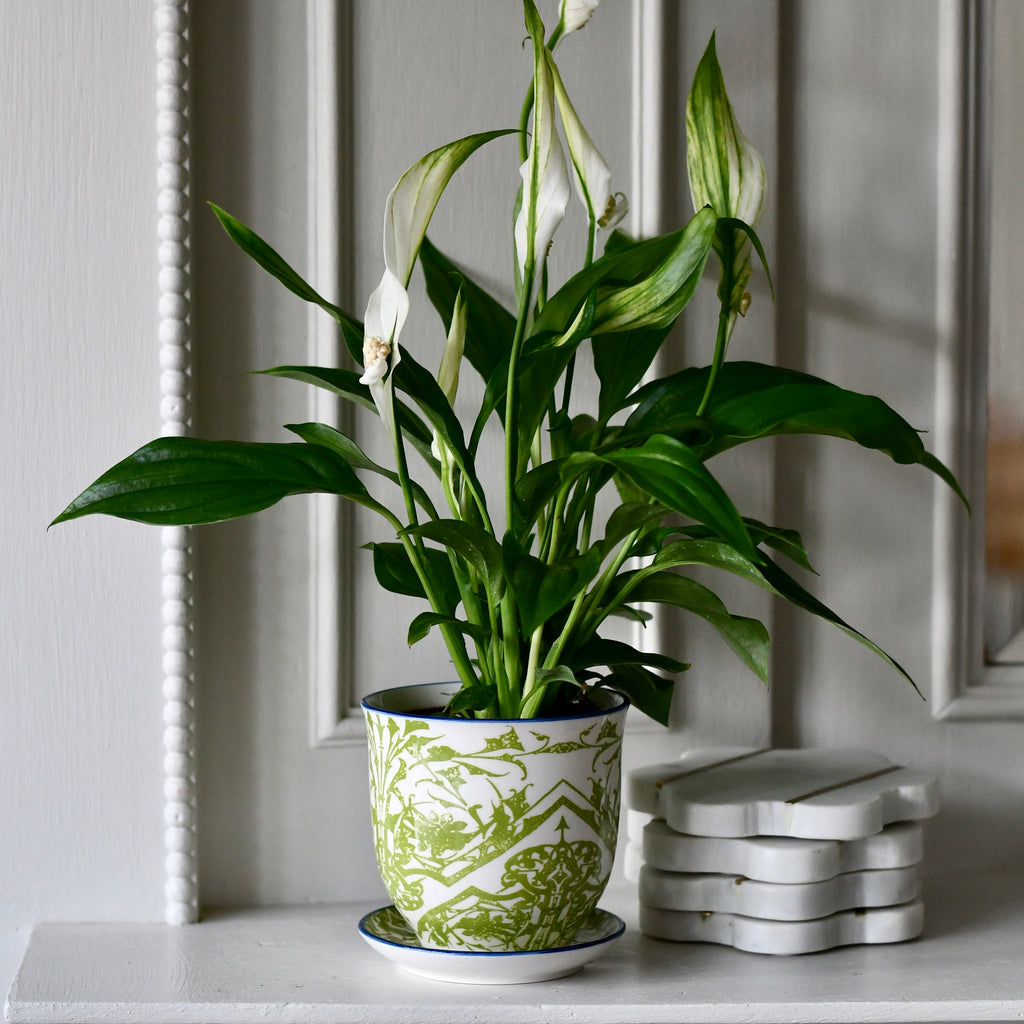 Fairford Green Porcelain Pot And Saucer Set With Drainage – Happy