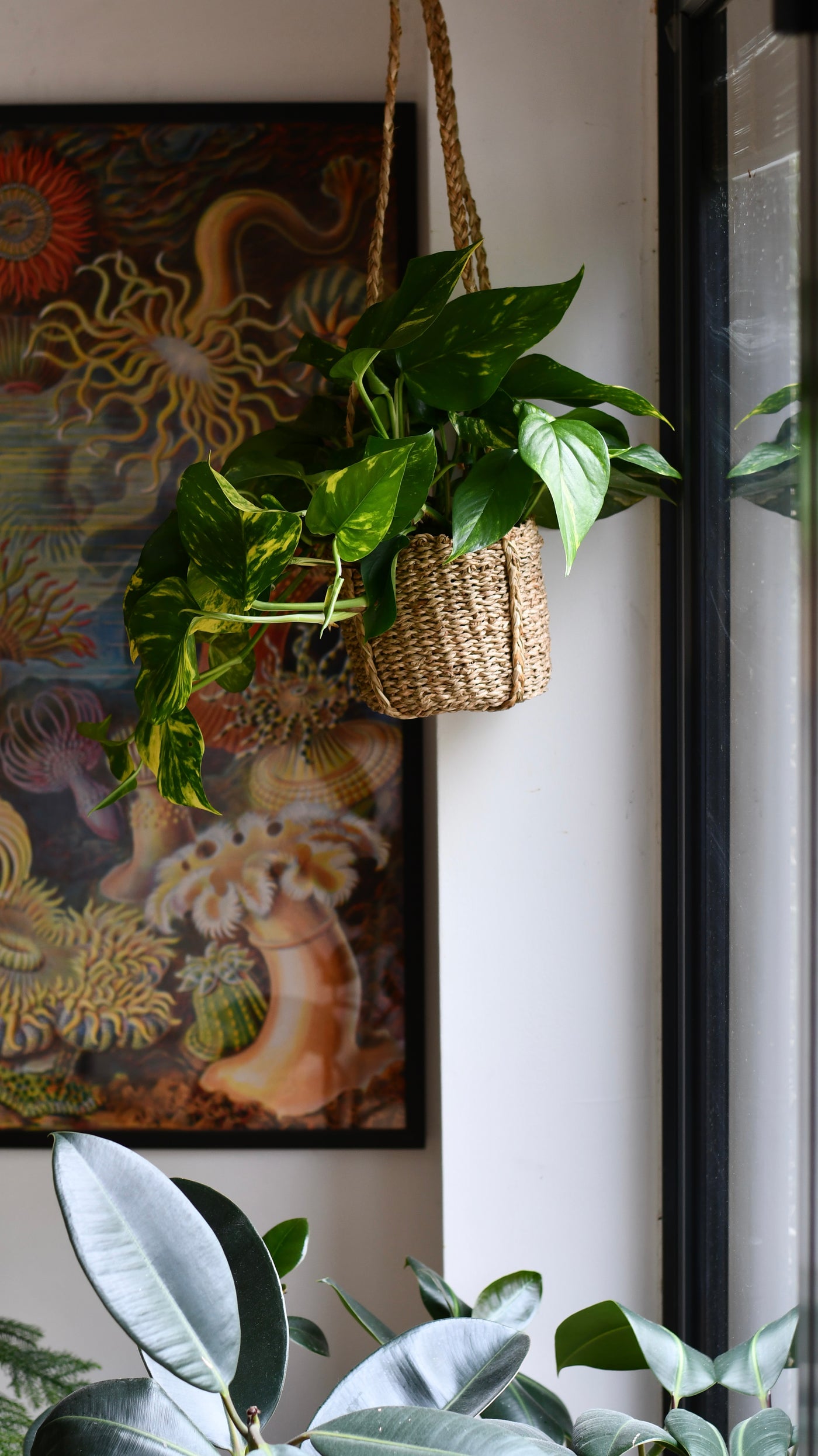 natural hanging planter Natural Seagrass Hanging Planter | Natural Plant Pots