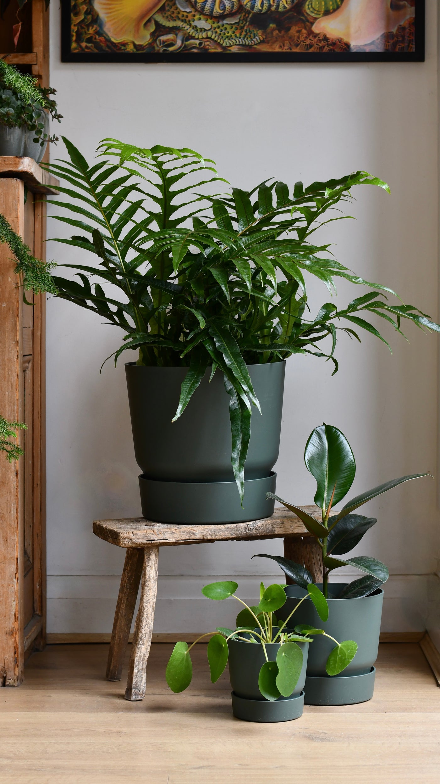 Greenville Round 30cm Leaf Green