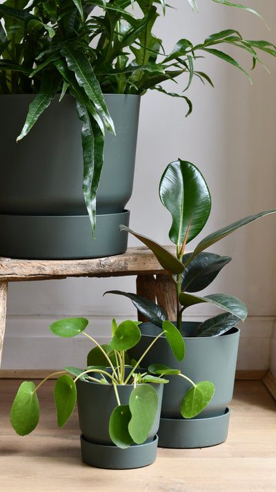 Greenville Round 30cm Leaf Green