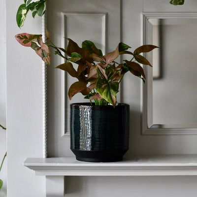 Clovelly Sapphire premium Glaze planter (14cm plant pot)