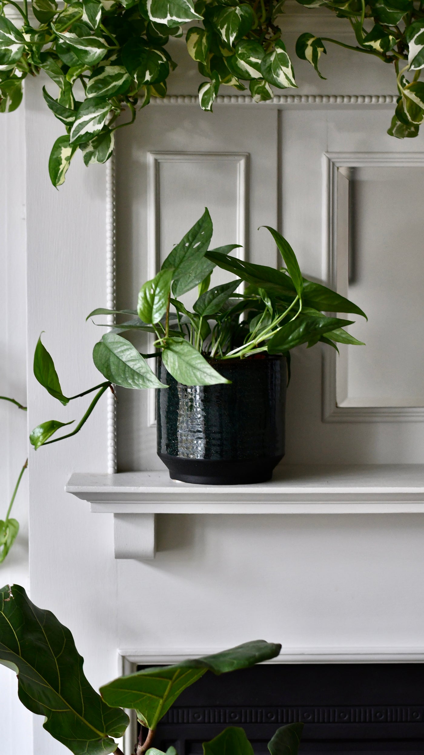 Clovelly Sapphire premium Glaze planter (14cm plant pot)