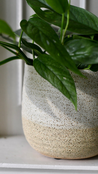 Celeste Cream premium Glaze planter 16cm plant pot