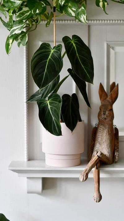 The Camden Collection – 13cm Pink Ceramic Planter with Saucer