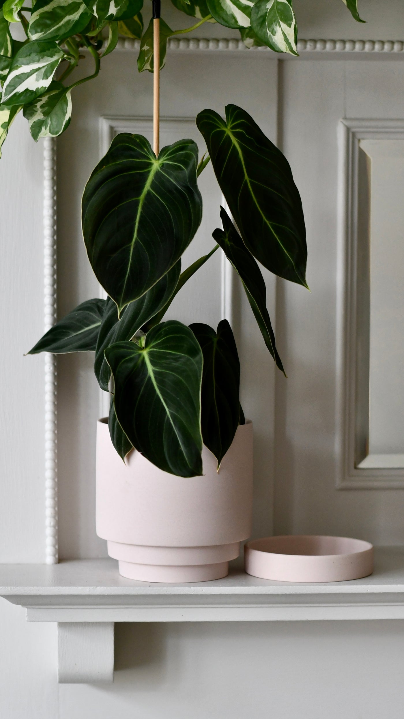 The Camden Collection – 13cm Pink Ceramic Planter with Saucer