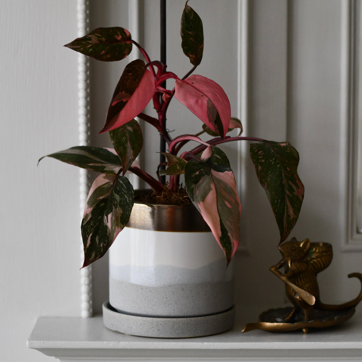 Mocha 13cm Porcelain Pot and Saucer Set