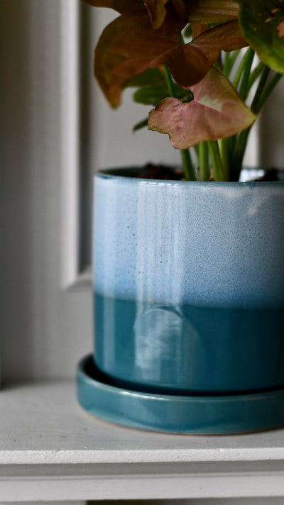 Brighton Blue 13cm Porcelain Pot and Saucer Set