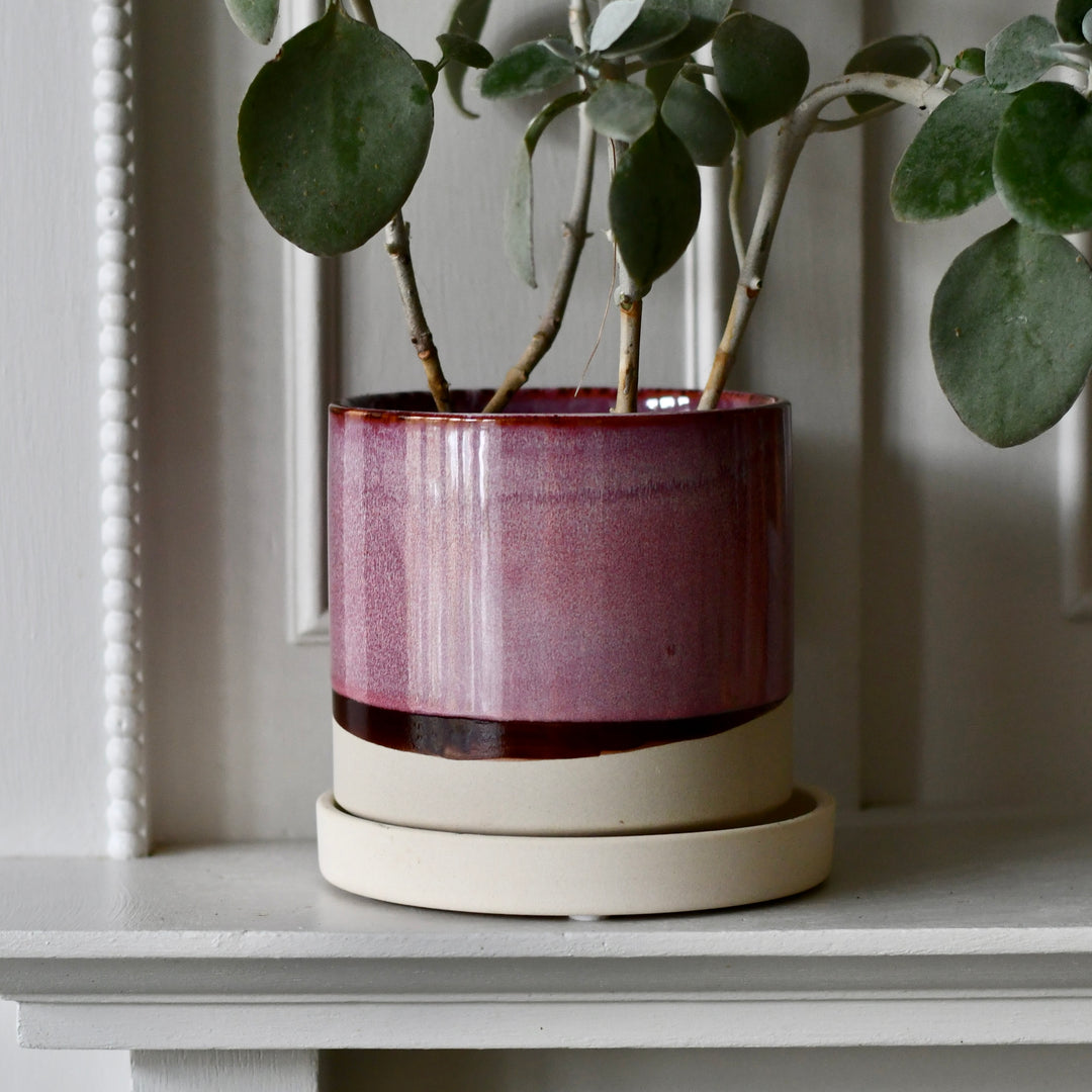 burgundy plant pot Grasmere Burgundy 13cm Porcelain Pot and Saucer Set – Happy Houseplants