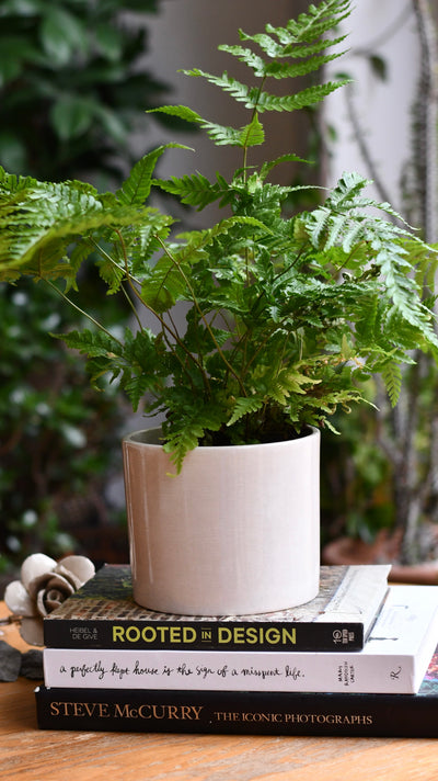 Taupe Planter, Linen Effect, 15cm