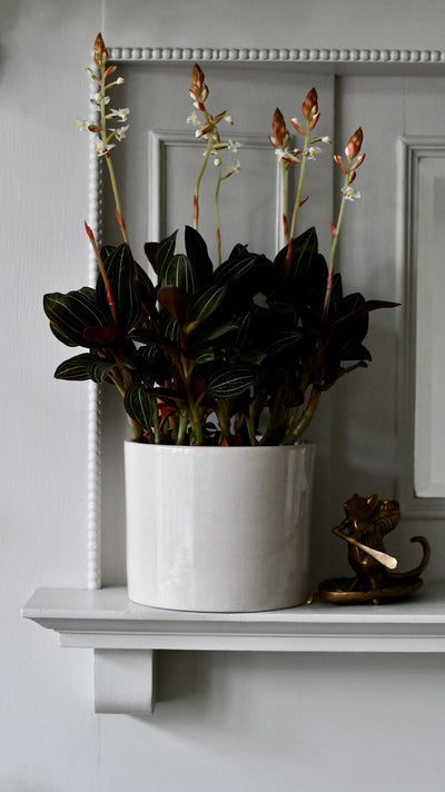 Taupe Planter, Linen Effect, 15cm
