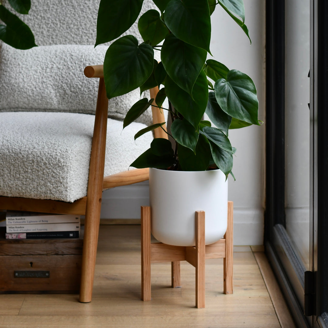indoor plant pot stands uk Lisbon Pot and Stand – Timeless Design with a Contemporary Touch – Happy  Houseplants
