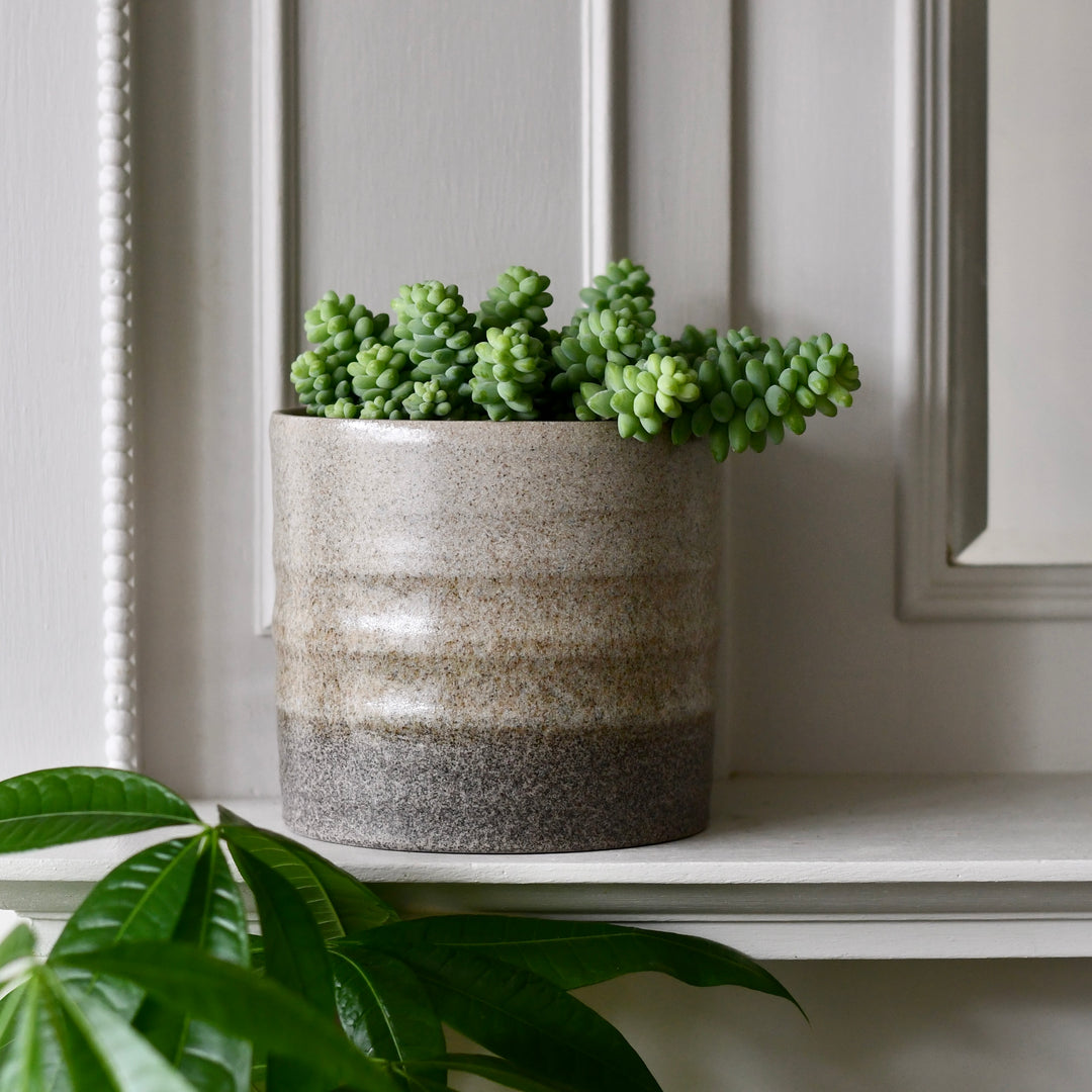 granite effect plant pots Gia Rippled Two-Tone Stone Granite Planter 11cm – Timeless Elegance in –  Happy Houseplants