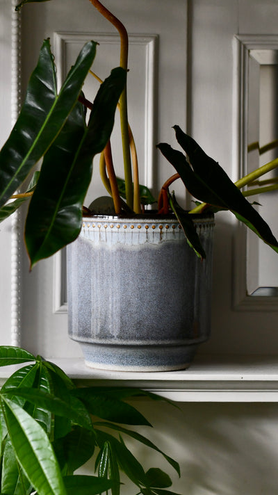 Clover Heather Dot Border Reactive Planter 15cm – Rustic Elegance with a Contemporary Twist