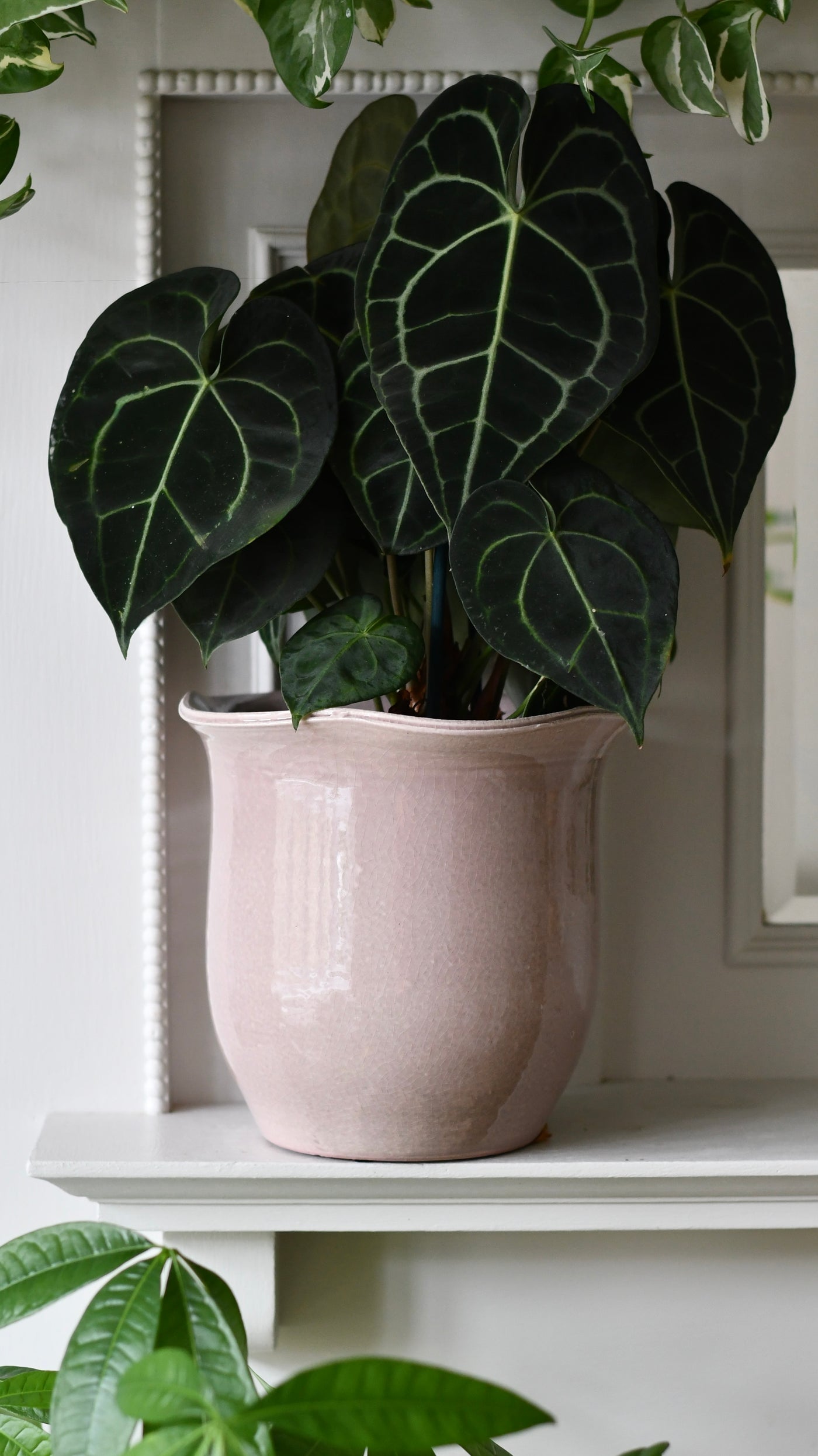 Scalloped Edge Planter Blush