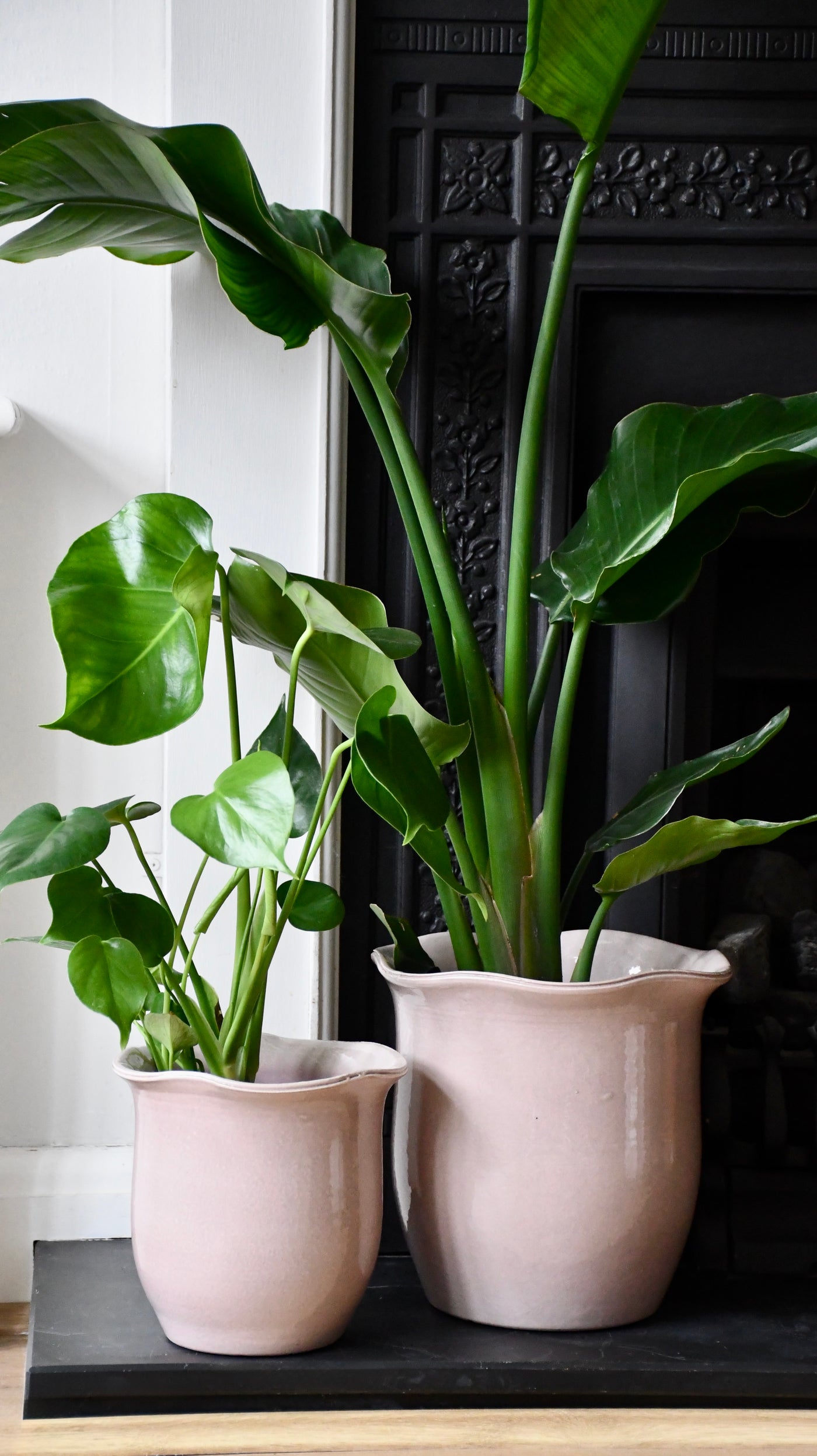 Scalloped Edge Planter Blush