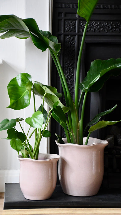 Scalloped Edge Planter Blush