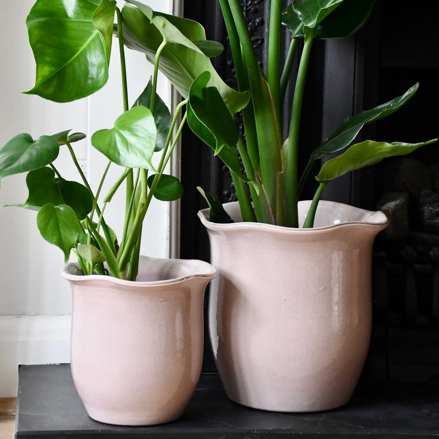 scalloped edge plant pot Scalloped Edge Planter Blush – Happy Houseplants