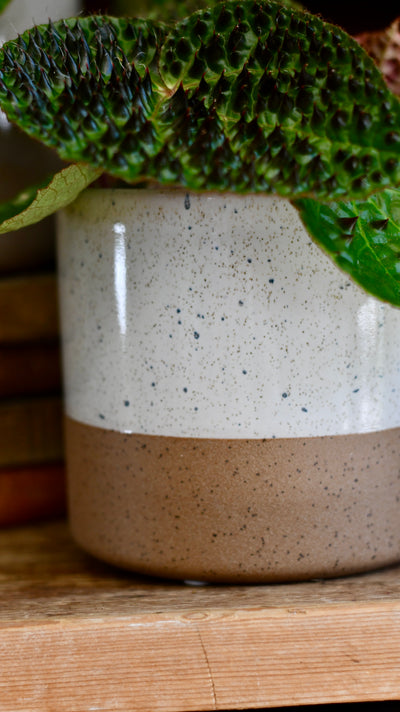 Shoreline Two-Tone Ceramic Pot
