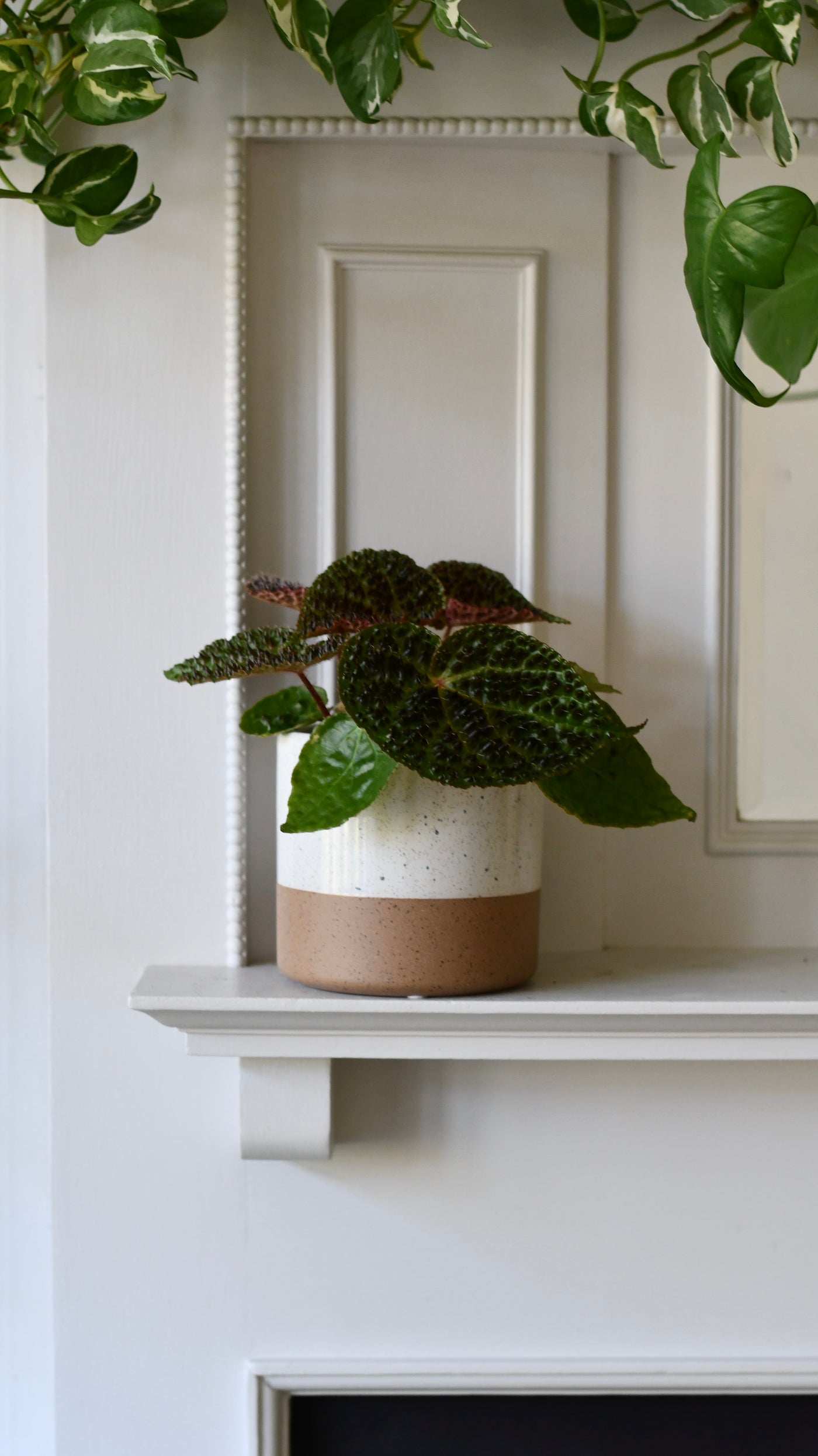Shoreline Two-Tone Ceramic Pot