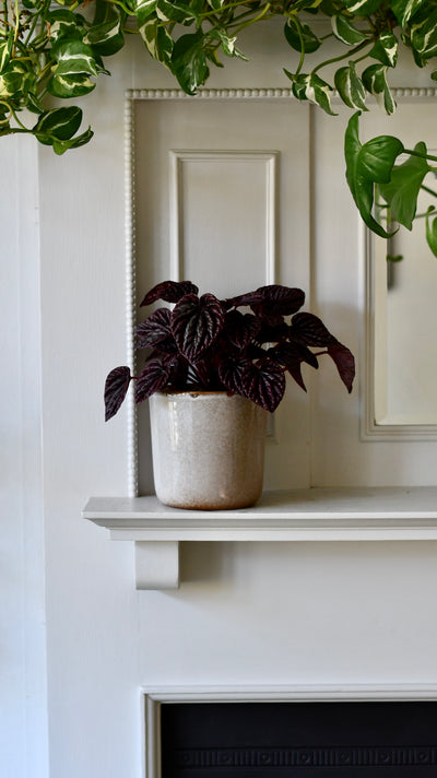 Luna Sand Retro Ceramic Pot