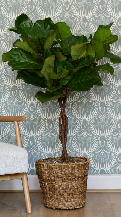 Boho Wicker Basket Planter 30cm – Waterproof Lined Pot for Indoor Plants