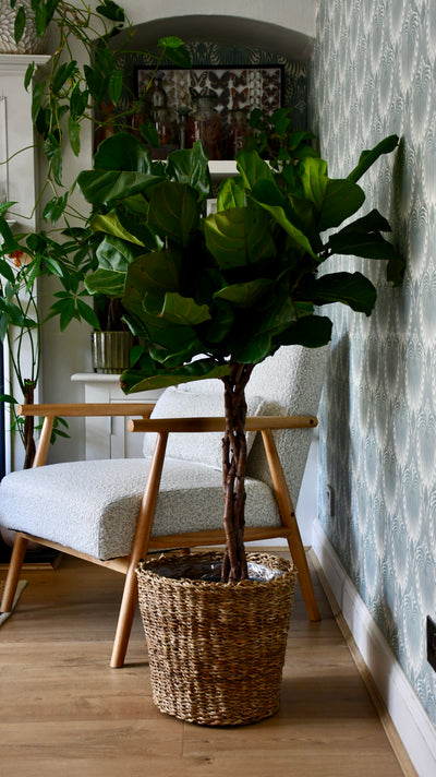 Boho Wicker Basket Planter 30cm – Waterproof Lined Pot for Indoor Plants