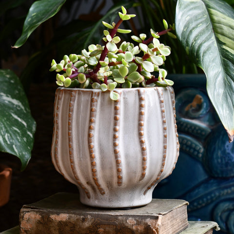 The Sandbar Ceramic Pot 12cm