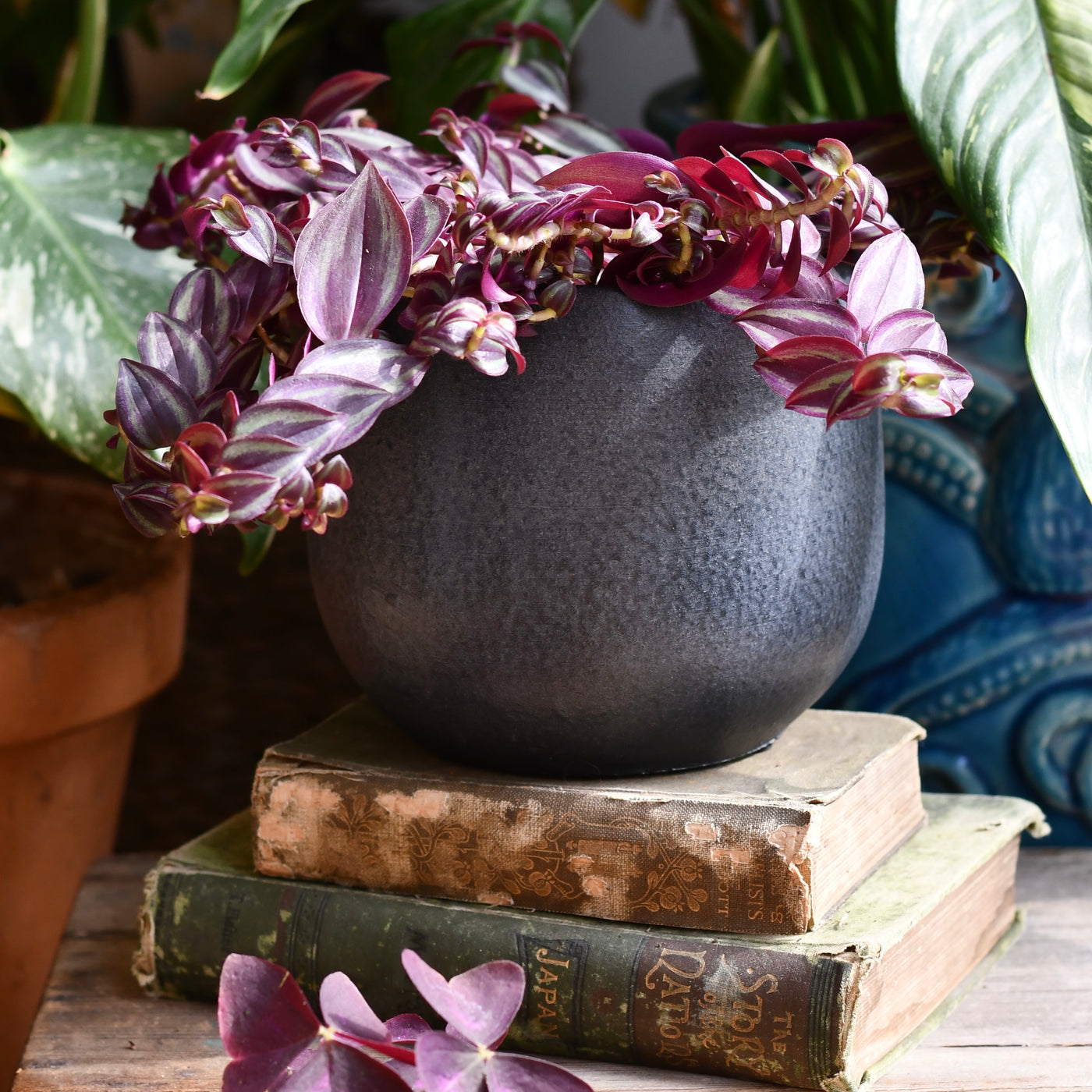 13cm plant pot The Graphite Curve Pot 13cm Plant Pot – Happy Houseplants