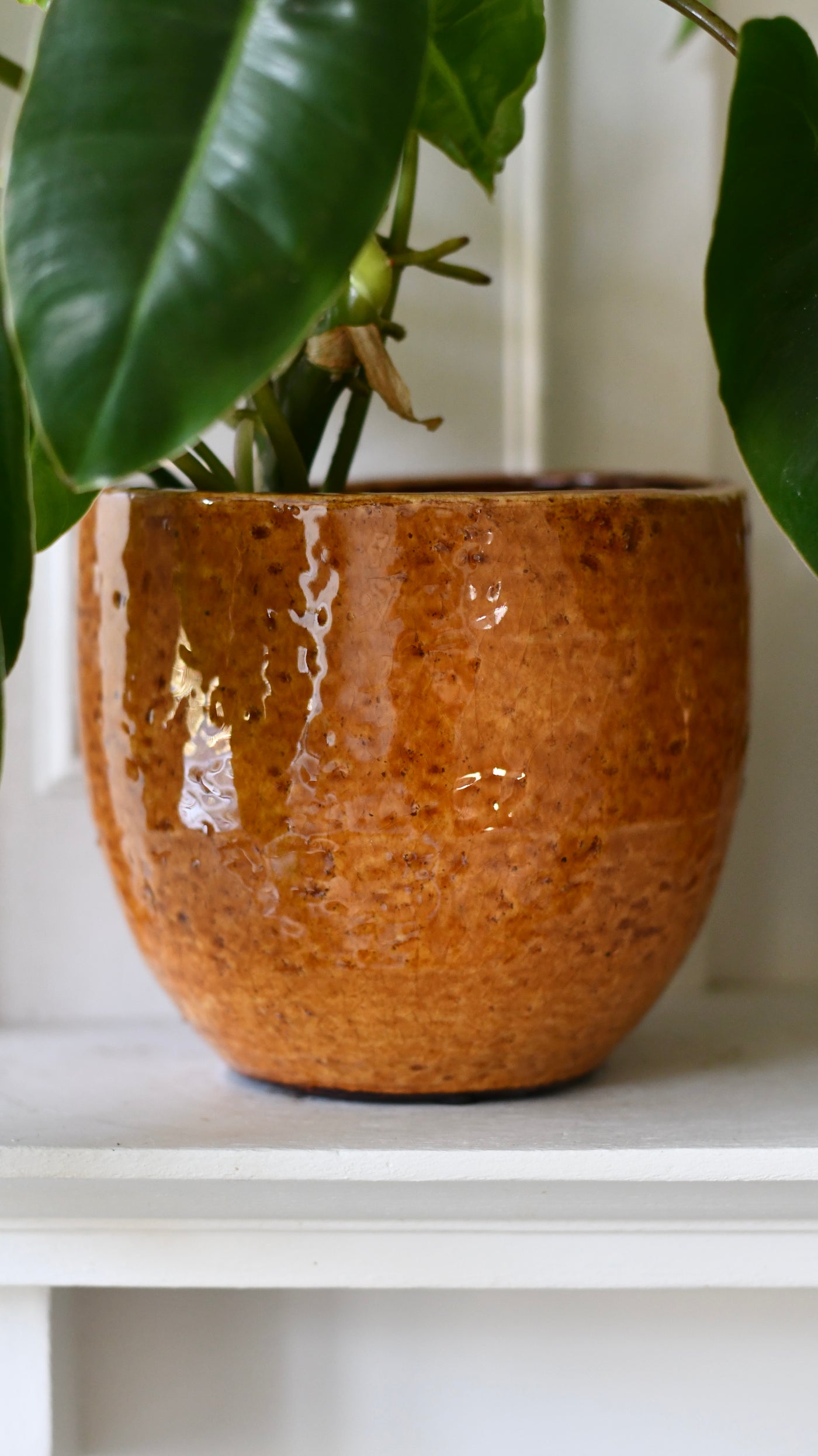 ochre plant pot Jolin Ochre Planter – 14cm – Happy Houseplants