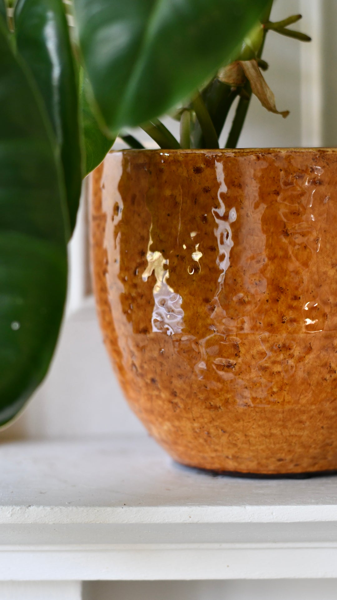Jolin Ochre Planter – 14cm – Happy Houseplants