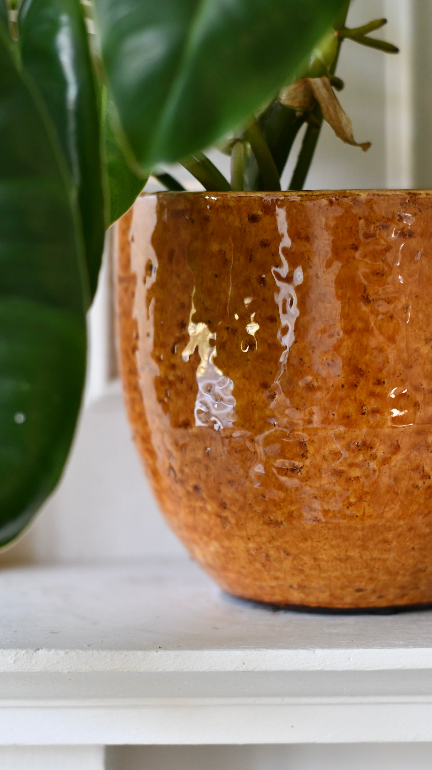 large ochre plant pot Jolin Ochre Planter – 14cm – Happy Houseplants